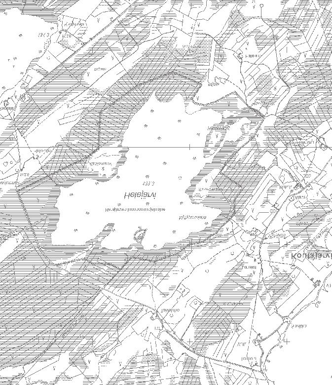 mustakurkku-uikku joutsen jouhisorsa lapasorsa heinätavi ruskosuohaukka kurki suokukko kuovi