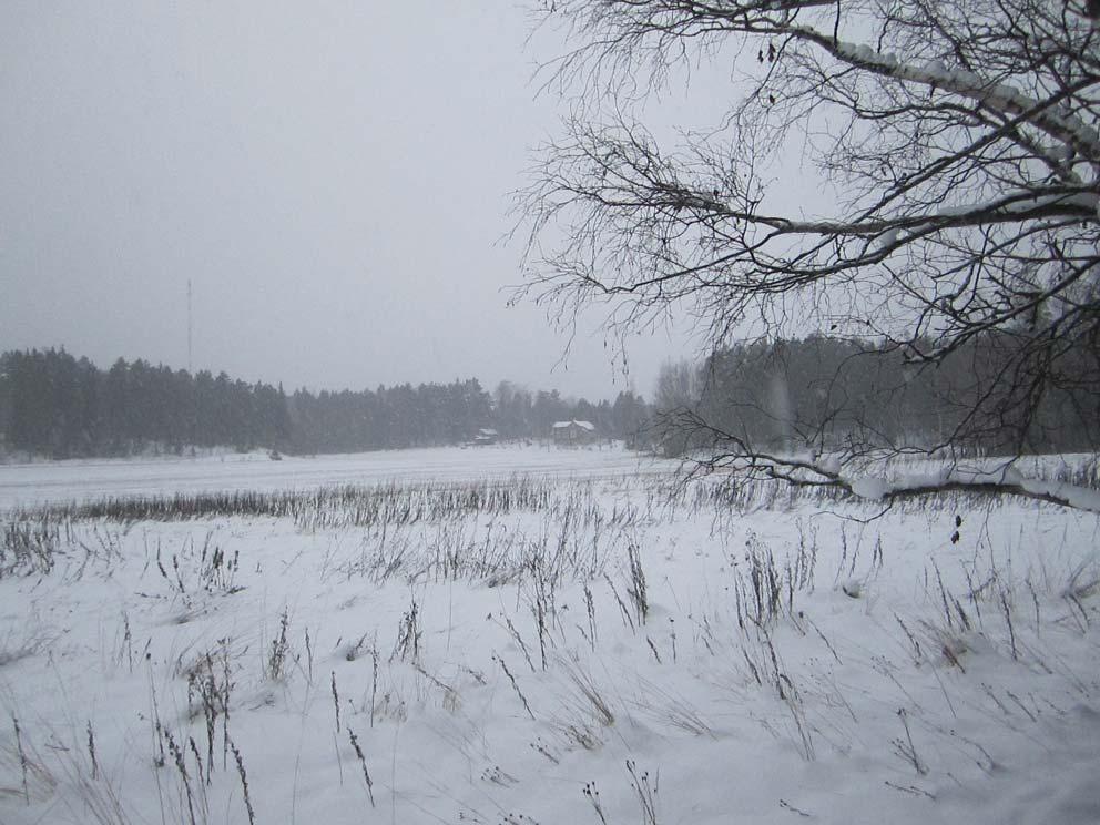 Ympäristövirasto / TL 12.03.2013 sivu 3/7 2.3 Rakennettu ympäristö Alueella ei ole varsinaista rakennettua ympäristöä lukuun ottamatta mutkaista ja mäkistä Haijaistentietä.