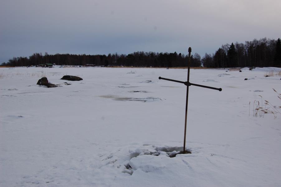 4 kaikenmoisia tervapyttyjä. Aurinko paisto päivällä sitte jonku verran ja hällä oli semmone vesikelekka.