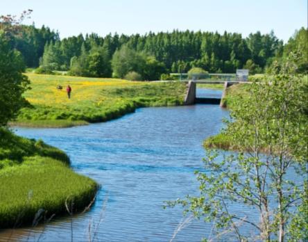 YLEISKAAVA