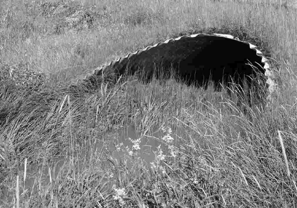 70 6. Rudbäckenin haara (RB6) RB2:n alaosasta kaakkoon erkaneva sivuhaara on alunperin saanut lähtönsä 1 950 metrin päässä olevasta Rudträsk järvestä, mutta tällä hetkellä laskupuron latvat ovat
