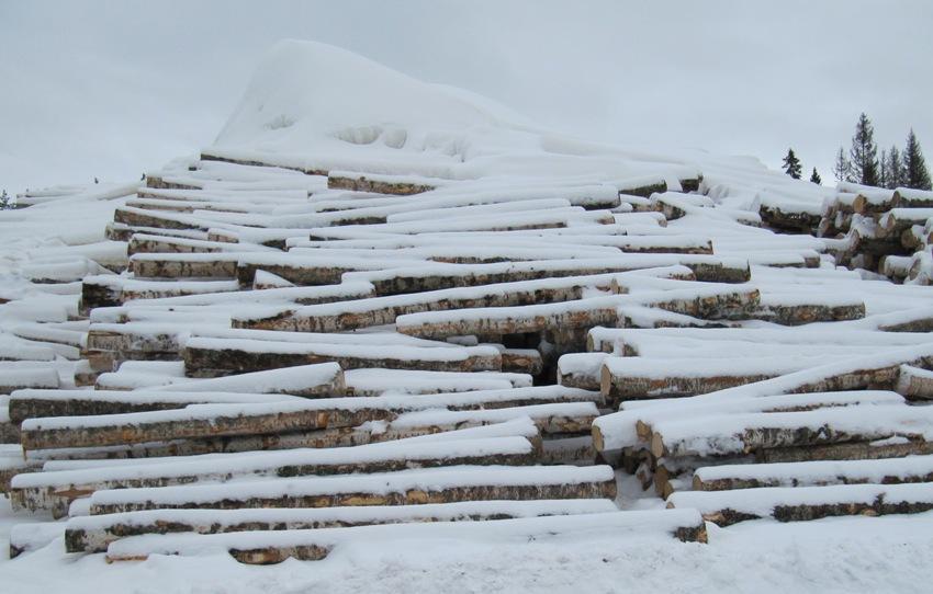 17 semään lumen putoaminen pinojen väliin. Päällyskerroksessa on hyvä käyttää tasamittaisia puita tiiviin pinoamisen helpottamiseksi. (Metsäteho 2004e, 8.) KUVA 5. Pinojen välipuut.