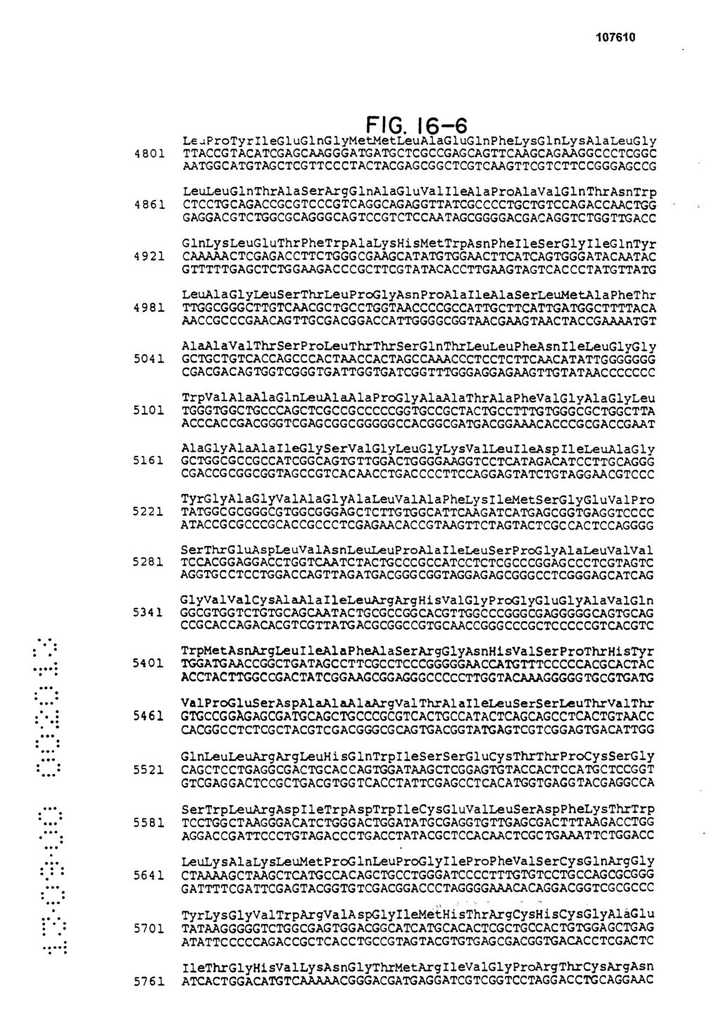 FIG. 16-6 LeuProTyrIleGluGlnGlyMetMetLeu AlaGluGlnPheLysGlnLysAlaLeuGly 4801 TTACCGTACATCGAGCAAGGGATGATGCTCGCCGAGCAGTTCAAGCAGAAGGCCCTCGGC AATGGCATGTAGCTCGTTCCCTACTACGAGCGGCTCGTCAAGTTCGTCTTCCGGGAGCCG