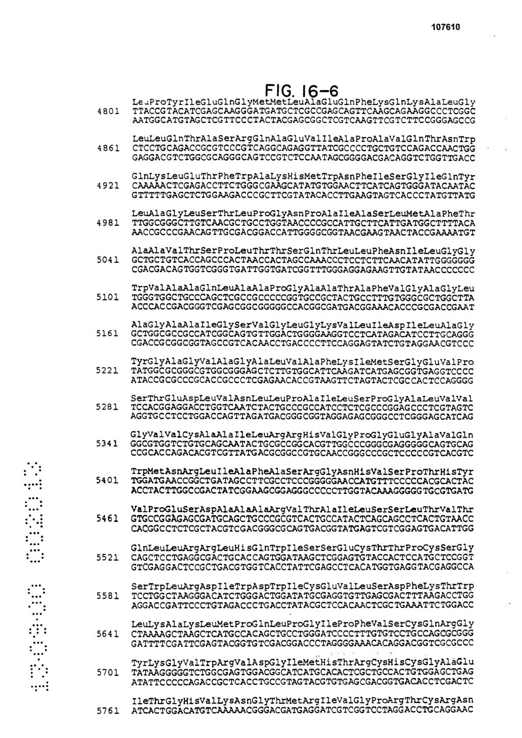 FIG. 16-6 LeuProTyrIleGluGlnGlyMetMetLeu AlaGluGlnPheLysGlnLysAlaLeuGly 4801 TTACCGTACATCGAGCAAGGGATGATGCTCGCCGAGCAGTTCAAGCAGAAGGCCCTCGGC AATGGCATGTAGCTCGTTCCCTACTACGAGCGGCTCGTCAAGTTCGTCTTCCGGGAGCCG