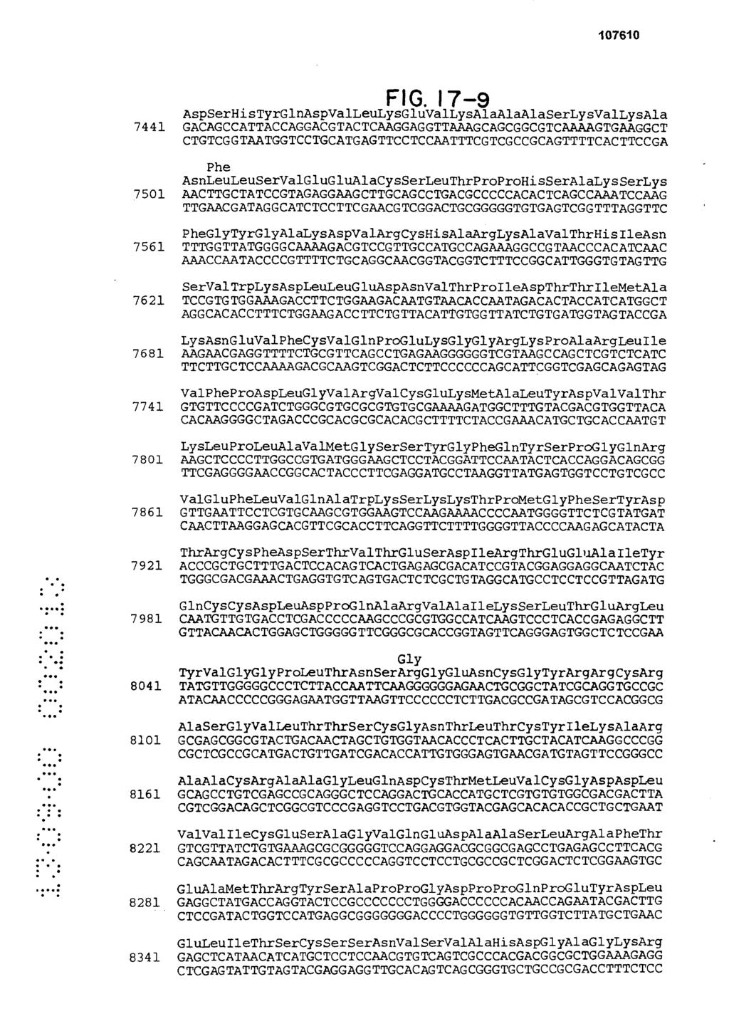 F 1 (3 17-9 AspSerHisTyrGlnAspValLeuLysGluValLysAlaAlaAlaSerLysValLysAla 7441 GACAGCCATTACCAGGACGTACTCAAGGAGGTTAAAGCAGCGGCGTCAAAAGTGAAGGCT CTGTCGGTAATGGTCCTGCATGAGTTCCTCCAATTTCGTCGCCGCAGTTTTCACTTCCGA