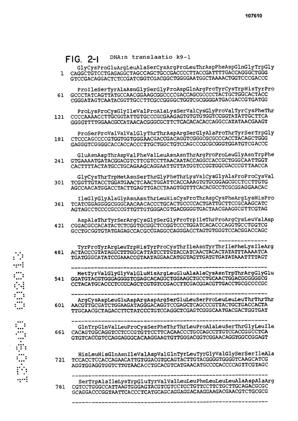 F1(3. 2-1 DNA:n translaatio k9-1 GlyCysProGluArgLeuAlaSerCysArgProLeuThrAspPheAspG1nGlyTrpGly 1 CAGGCTGTCCTGAGAGGCTAGCCAGCTGCCGACCCCTTACCGATTTTGACCAGGGCTGGG