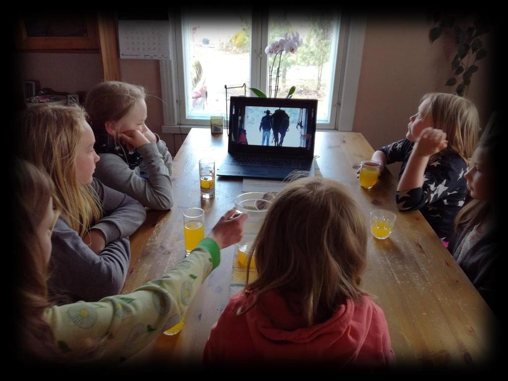 tavoitteena on oppia, miten monipuolisesti voi hevosen kanssa harrastaa.
