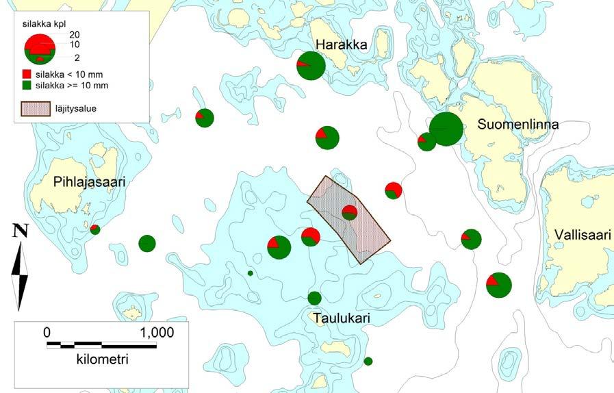 Kuva 27. Silakanpoikasten lukumäärät ja kokoluokkien osuudet silakan kutualueilla, läjitysalueella ja muualla Taulukarin ympäristössä. Läjitysalue näkyy tummennettuna kartan keskellä.