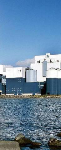 Power Tehonkorotustyöt ydinvoimaosakkuusyhtiöissä Ruotsissa jatkuvat Matalampi Pohjoismainen tukkumyyntihinta Miljoonaa euroa I-III/21 I-III/29 12 kk