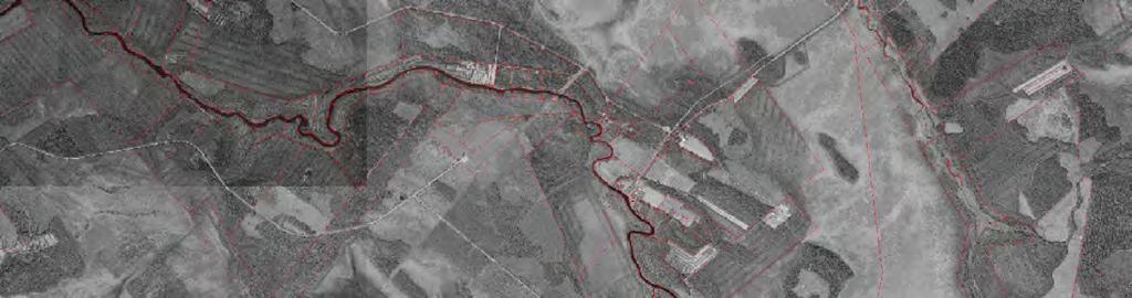 heinäkorpi (EN) MkK metsäkortekorpi (EN) PaLu pajuluhta (NT) LuN luhtaneva (NT) KeR keidasräme (LC) OlSR oligotrofinen sararäme (VU) MeSR