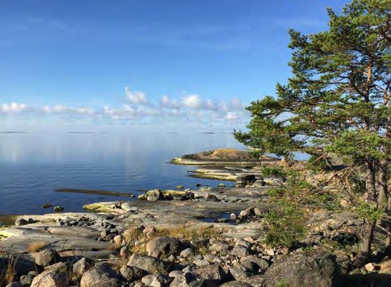 Långholmen, rantaa saaren lounaisosan niemellä, jota ehdotetaan MU-alueeksi.