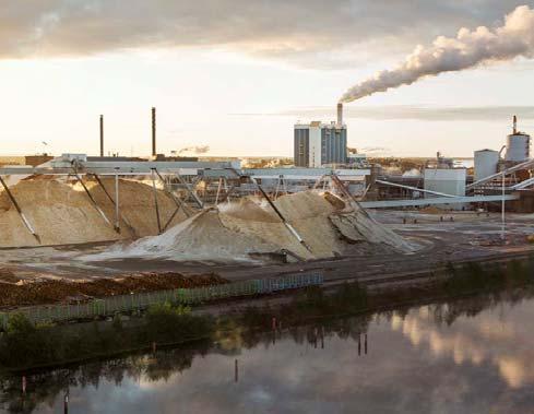 Markkinoiden ohjattava raaka-aine arvokkaimpaan käyttöön Biotalouden kasvu on paras tapa lisätä uusiutuvaa energiaa Metsäteollisuus tuottaa toimintansa