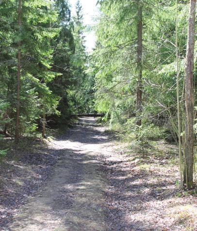 SUUNNITTELUN LÄHTÖKOHDAT Suunnittelualue on pääosin tiheää metsää ja eteläosiltaan peltoa/niittyä. Alue on osa laajempaa Kalkkimäen pohjois-eteläsuuntaista kumparetta.