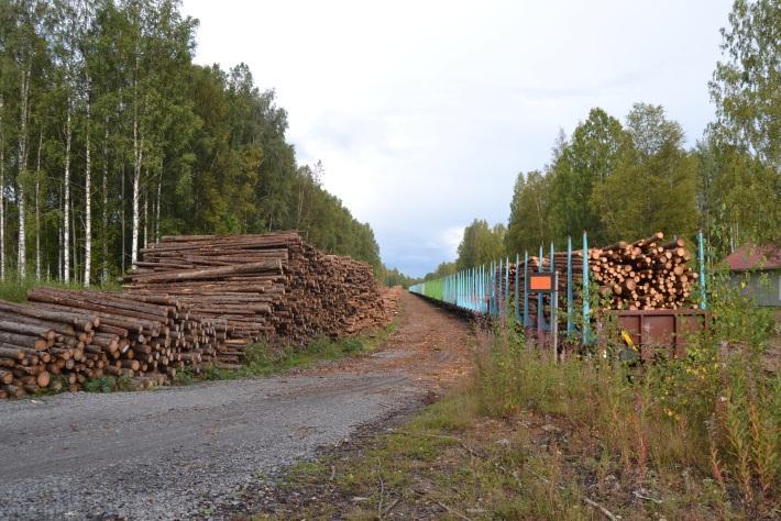 Pidämme PPH-ratayhteyden esillä vaihtoehtona Kaasuvetureiden pilottikohde - Vihreä vaihtoehto, imagoarvo Toimintaympäristön muutokset ja linjaukset,