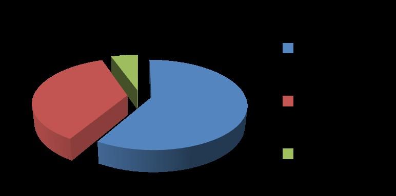 Yhtiön omistajat Hannu Solanne (58,41 %) Arena Partners Oy (36,16 %) (*) Henkilöstö (5,43 %) (*) Arena Partners Oy on sähköisen liiketoiminnan kehitysyhtiö ja sen omistavat