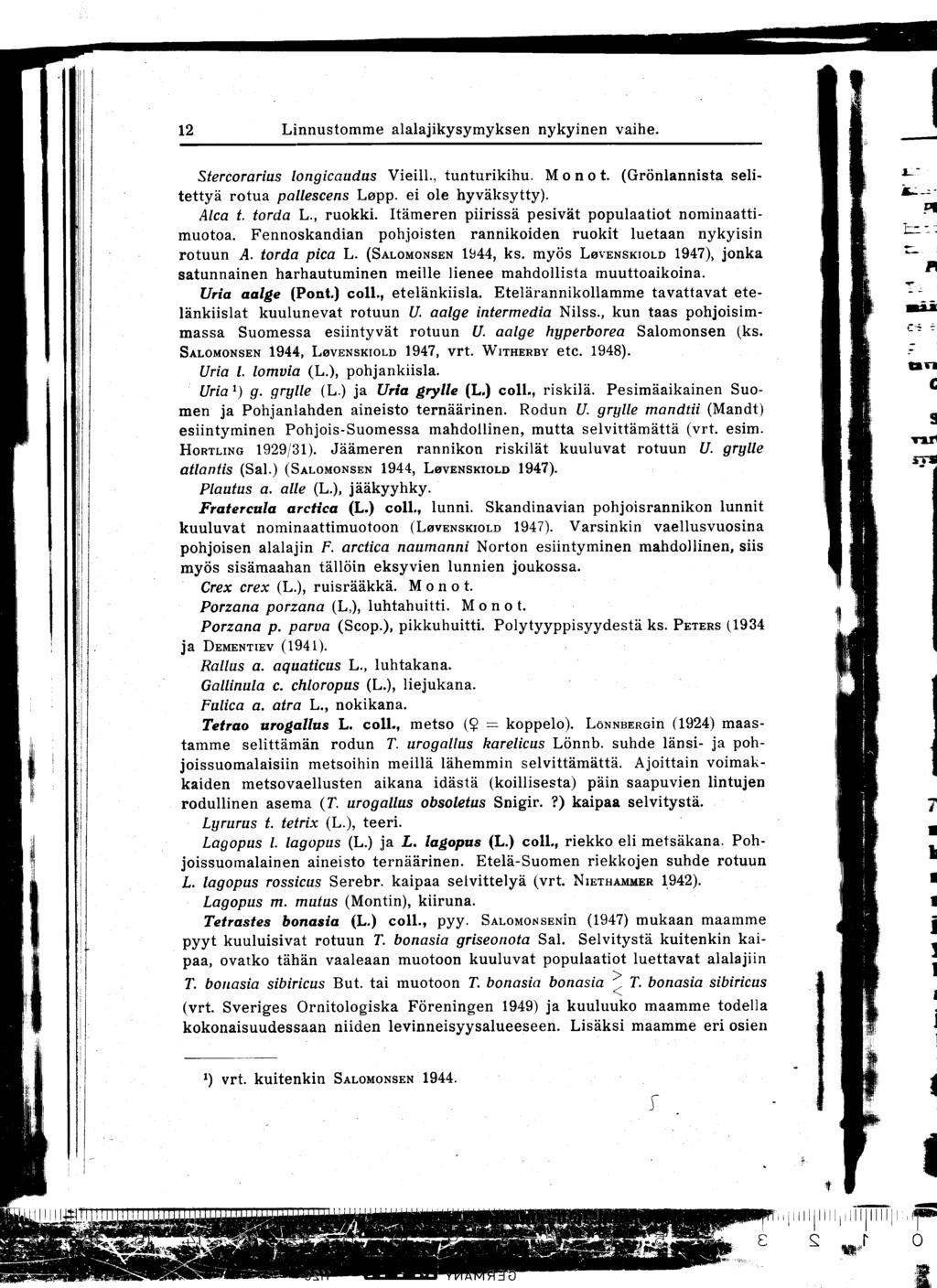 12 Linnustomme alalajikysymyksen nykyinen vaihe. Stercorarius longicaudus Vieill., tunturikihu. M o n o t. (Grönlannista selitettyä rotua pallescens Lopp. ei ole hyväksytty). Alta t. torda L., ruokki.