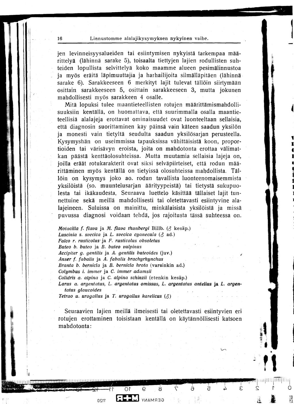 16 Linnustomme alalajikysymyksen nykyinen vaihe.
