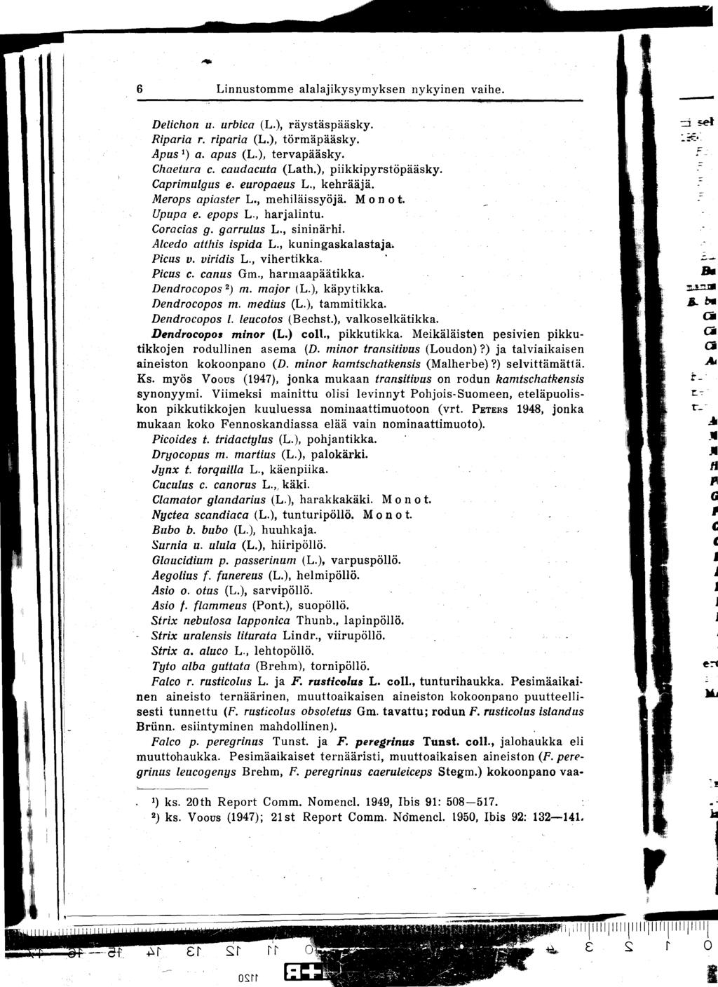 6 Linnustomme alalajikysymyksen nykyinen vaihe. Delichon u. urbica (L.), räystäspääsky. Riparia r. riparia (L.), törmäpääsky. Apus l) a. apus (L.), tervapääsky. Chaetura c. caudacuta (Lath.