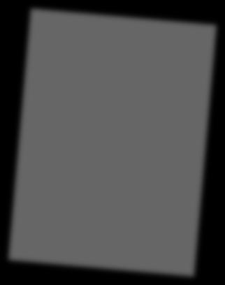 lajitunnistuksen