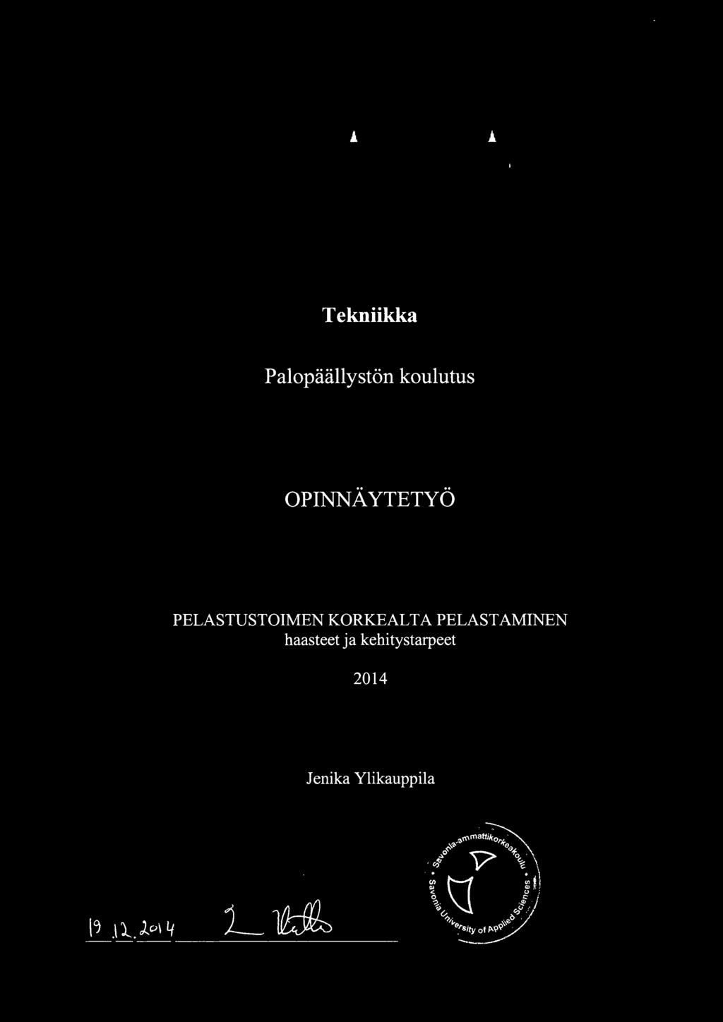 PELASTAMINEN haasteet ja kehitystarpeet 2014