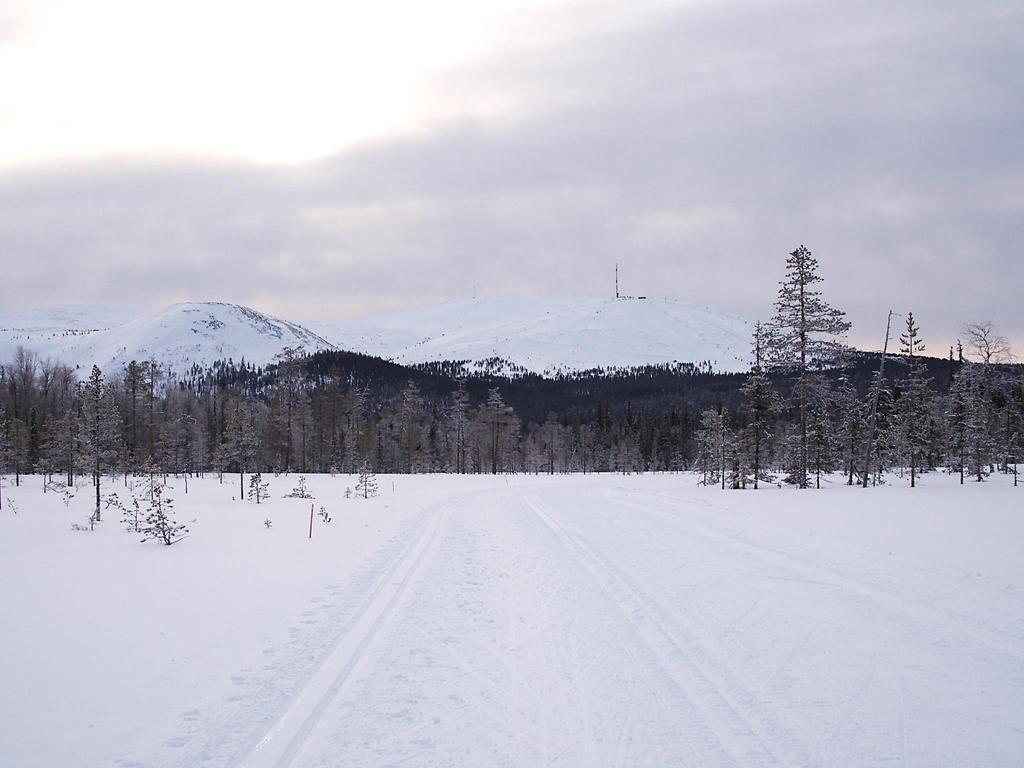 Kolarin aluetaloudellinen arviointi