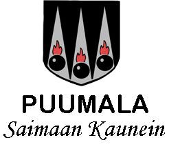 PUUMALAN KUNNAN IKÄIHMISTEN STRATEGIA 2010 2016 Peruspalvelulautakunta 24.2.2010 9 LIITE NRO 5 Kunnanhallitus 15.
