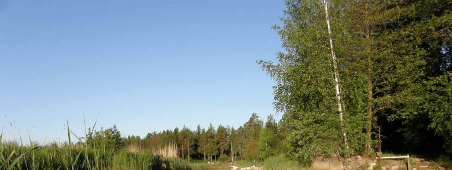 53 kaukoputkella. Retkeilyä alueella voitaisiin ohjata ja mahdollisuuksia alueen linnustoon tutustumiseen parantaa rakentamalla lahden rannalle lintutorni.