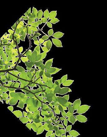 Lukuisat järvet ja harjuinen maisema saavat kiireisenkin mielen lepäämään.