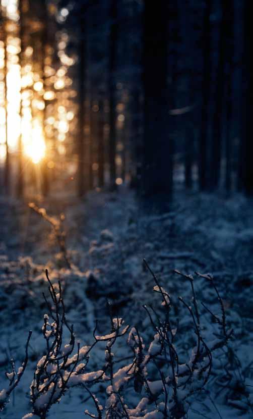 HORMILIITOKSET Ala- ja yläliittymä toimitukset sisältävät aina teräksisen suoran liitosputken. Kulmaputket ja erikoisputket toimitetaan lisävarusteena.