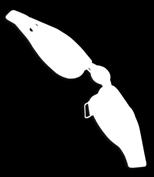 Neljällä joustamattomalla hihnalla ortoosi hienosäädetään ja varmistetaan paikalleen reiteen ja sääreen niin, etteivät liikunnan aikana esiintyvät kiertoliikkeet vaikuta siihen.