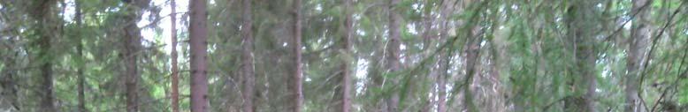 Luontoselvitys 9 (16)