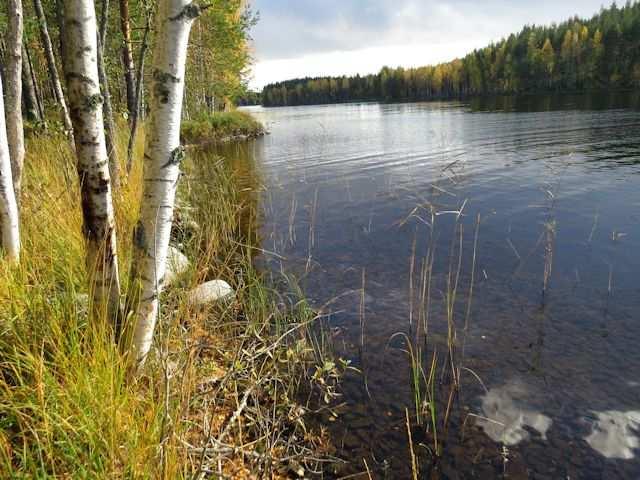 11 5. Mustasaari (LIITTEET, Kartta 4.) Jokiniemenselän Mustasaari on kalliosaari, jota peittää kivinen harjusora.