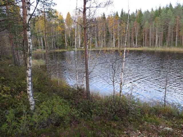 Messijärven pohjoisranta käsittää pienen kallioniemen ja sen kahden puolen olevat lahdet ja niiden rantametsät.