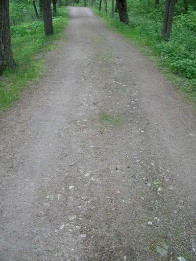 Kartanolta laiturille johtavalla