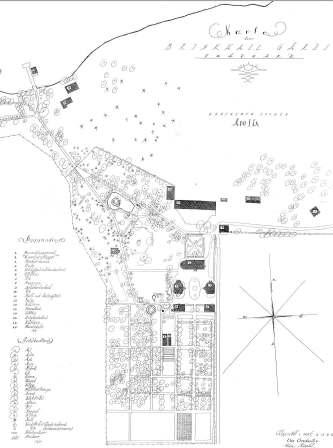 Mittapiirros vuodelta 1920, Elsa Arokallio, Elin