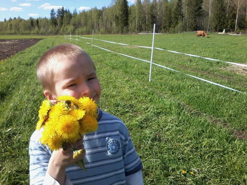 MIETTEITÄ Green care Hoivaa ja Apua, Luonnosta ja Arjesta, Ulkona tai Sisällä, alkukirjaimista -----> HALAUS Halua auttaa, rakkaus ihmisiä kohtaan on