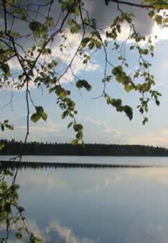 18 www.salonseudunasunnot.net Nyt lämmintä varastotilaa Salossa 2 1,5-20m TILOJA ALK. 29:- eur/kk KYSY LISÄÄ 044-5511648 050-529 3234 www.joustovarasto.com yksi hakukone.