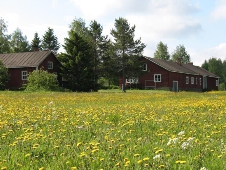 PELLO Pellon kuntakeskuksen inventointi 17. - 19.6.