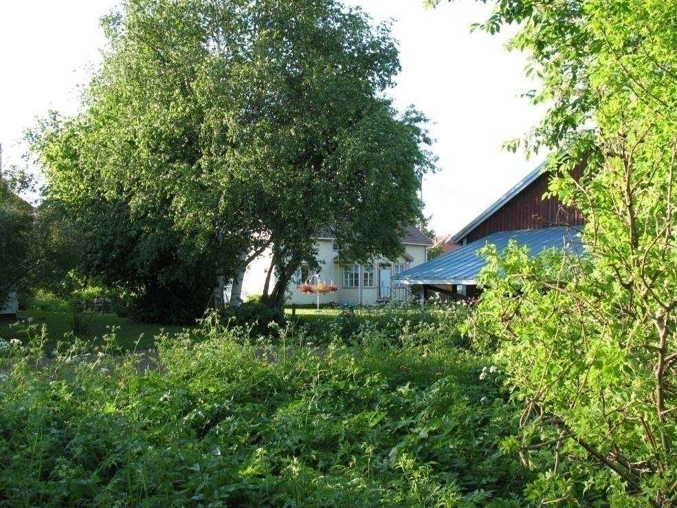 2.2 Pello (Välimaa) MJrekino: 1000011908 Ajoitus: Laji: Muinaisjäännöstyyppi: historiallinen kiinteä muinaisjäännös kylätontti Rauhoitusluokka: 2 Yhtenäiskoordinaatit: p : 7412576, i: 3366732, z: 84
