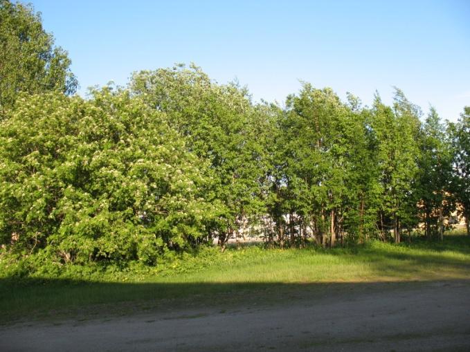 Outhierin kartassa nimellä Thuomas tässä kartassa on saman nimen alle piirretty rantaviivan mukaisesti kaksi kylätonttia (1770-luvulla on Rantatuomaasta erottunut Mäkituomas).