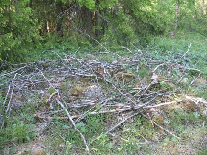 2.13 Pello, (Niva 2) Ajoitus: Tyyppi: historiallinen kiviaidattu pelto ja rakenteen pohjaa Yhtenäiskoordinaatit: p: 7414277, i: