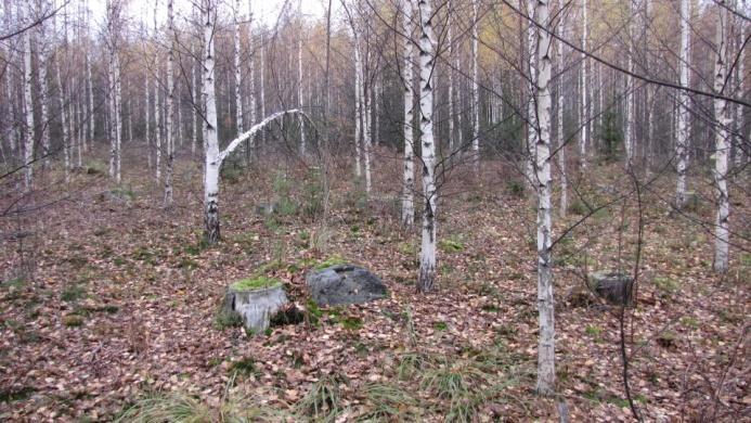 Koko etelärinne on pienten lohkareiden kirjomaa