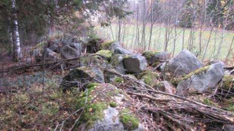 kohteilla (horsmat vallanneet alueen).