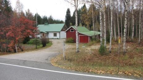 kookkaampaa puustoa.
