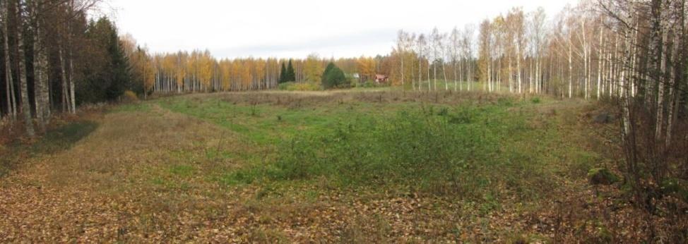 Pelloilta raivattuja kiviä metsänlaidassa, päätien varren kaunis