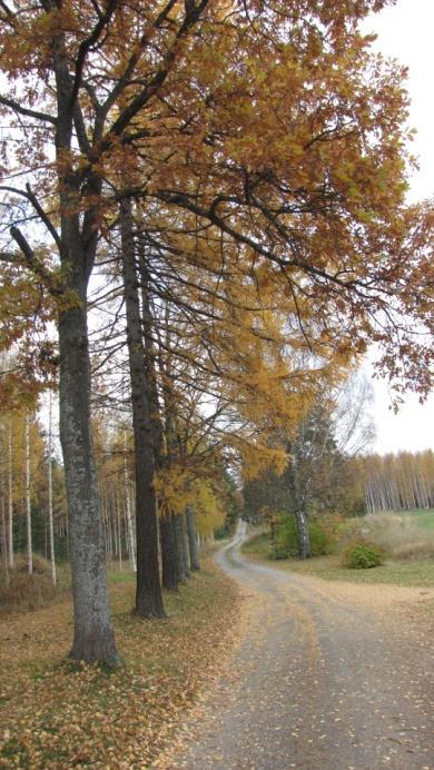 PIHAPIIRI Pihapiirissä on vanhan noin 100 -vuotias maatilakeskus