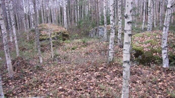 horsmikolla. Kuvat 26 ja 27.