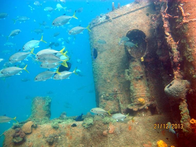 SUKELTAMASSA BARBADOKSELLA Toista kertaa peräkkäin peruuntuneen Punaisen Meren liveaboard matkan tilalle oli keksittävä jotain muuta.