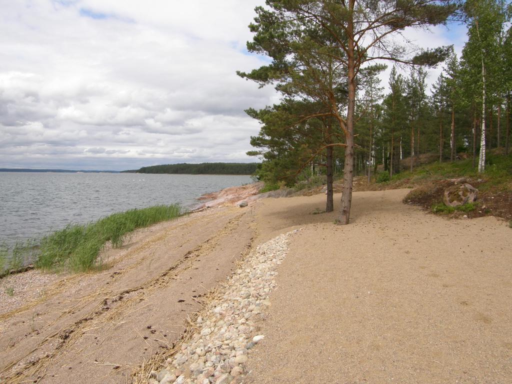 AINUTLAATUINEN