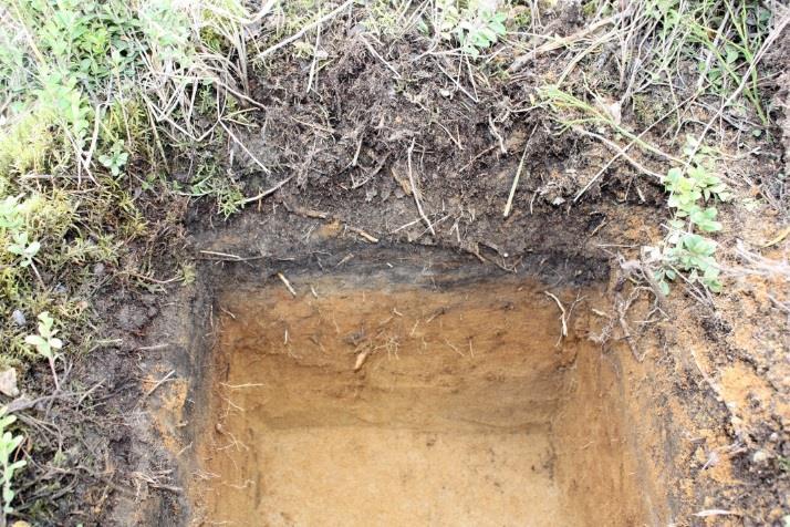 Kuopat Torsanpääntien pohjoispuolella oli neljä Maanmittauslaitoksen Lidar-aineistossa erottuvaa kuoppaa.